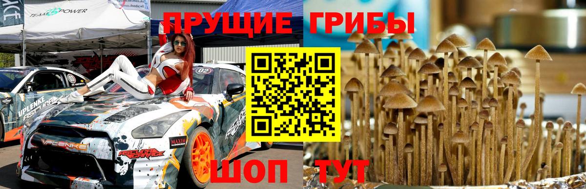 Аксай  Галлюциногенные грибы мицелий  Вход с VPN 